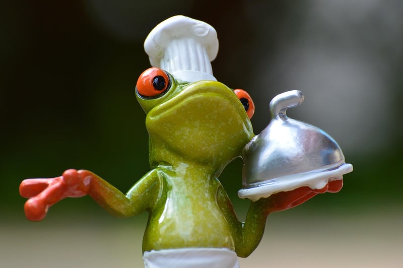 Gourmet Dish